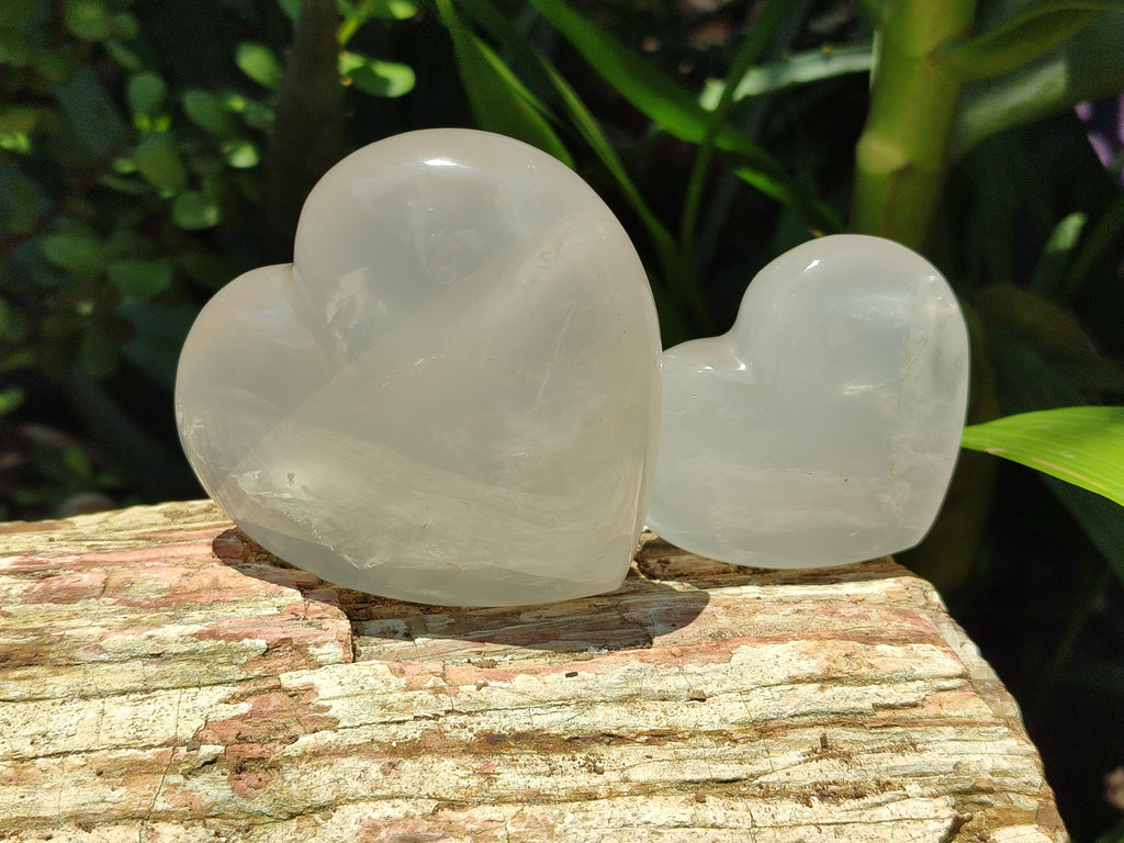 Polished Girasol Pearl Quartz Gemstone Hearts x 6 From Madagascar - Toprock Gemstones and Minerals 