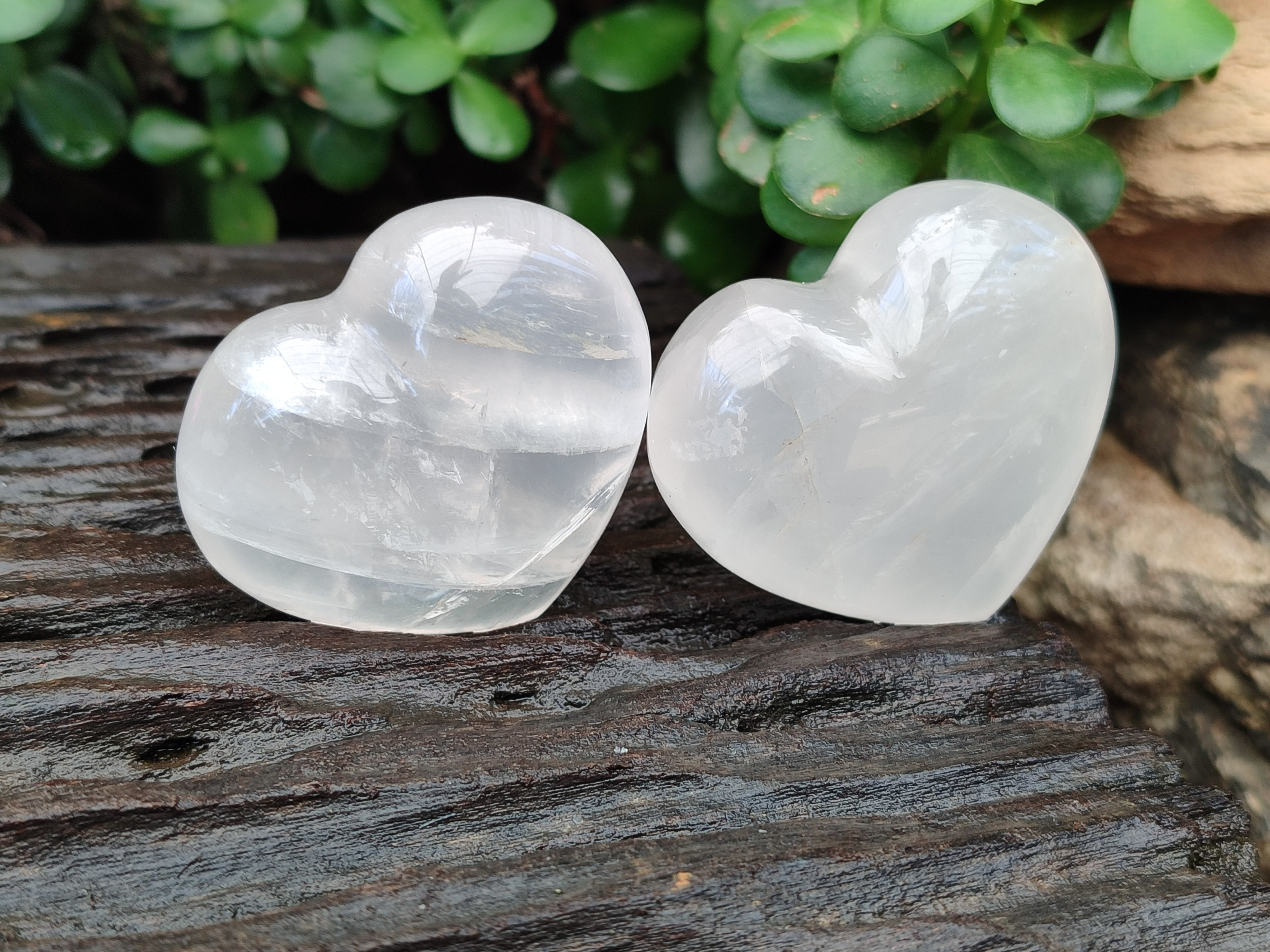 Polished Girasol Pearl Quartz Gemstone Hearts x 6 From Madagascar - Toprock Gemstones and Minerals 