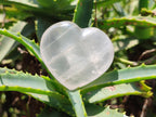 Polished Girasol Pearl Quartz Gemstone Hearts x 6 From Madagascar - Toprock Gemstones and Minerals 