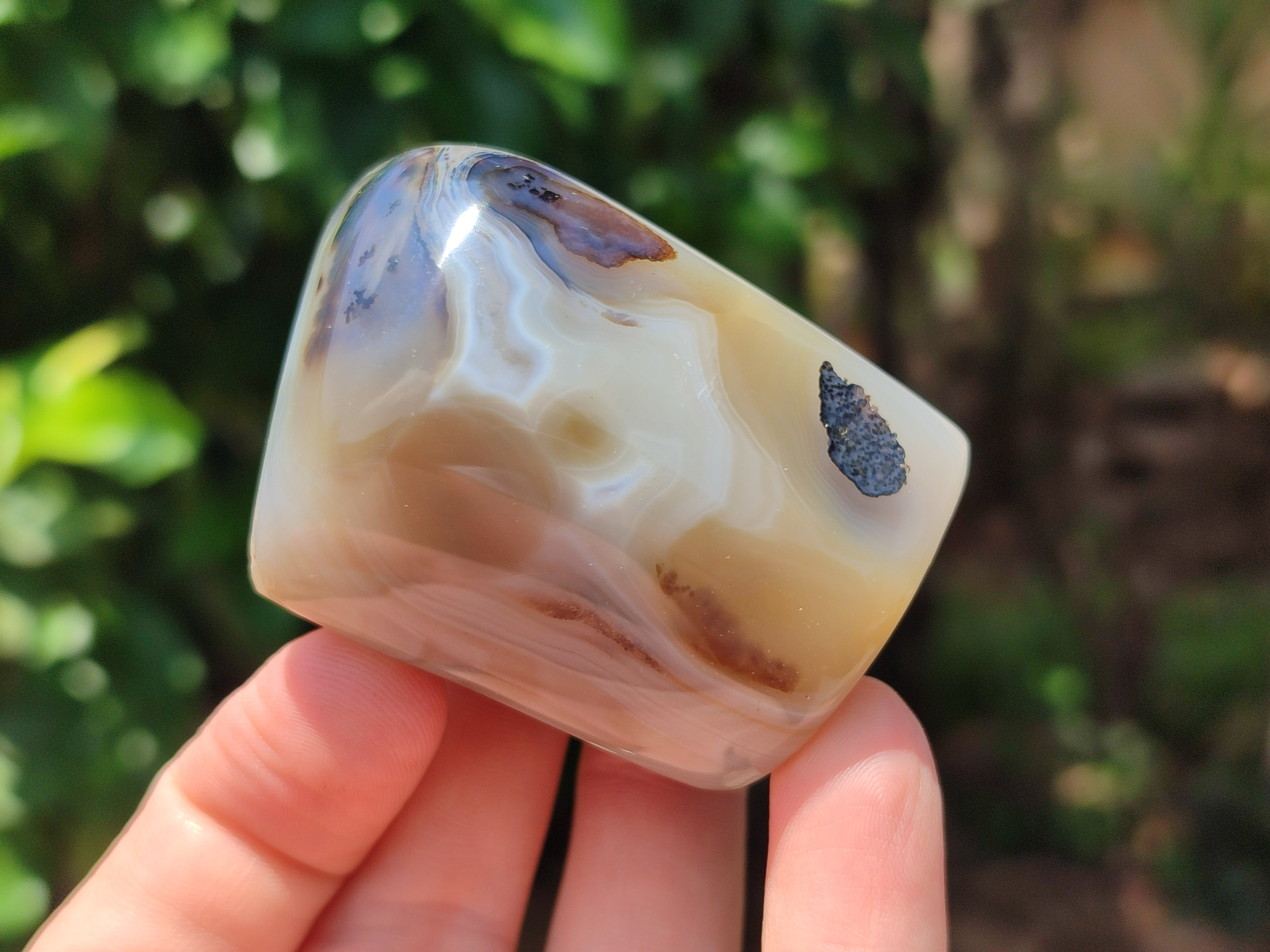 Polished On One Side Dendritic Agate x 6 From Madagascar - Toprock Gemstones and Minerals 