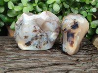 Polished On One Side Dendritic Agate x 6 From Madagascar - Toprock Gemstones and Minerals 