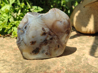 Polished On One Side Dendritic Agate x 6 From Madagascar - Toprock Gemstones and Minerals 