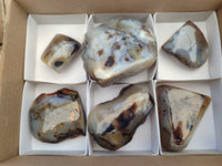 Polished On One Side Dendritic Agate x 6 From Madagascar - Toprock Gemstones and Minerals 