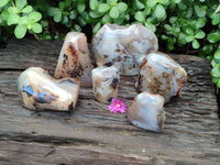 Polished On One Side Dendritic Agate x 6 From Madagascar - Toprock Gemstones and Minerals 