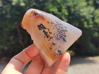 Polished On One Side Dendritic Agate x 6 From Madagascar - Toprock Gemstones and Minerals 
