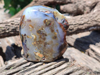 Polished On One Side Dendritic Agate x 6 From Madagascar - Toprock Gemstones and Minerals 