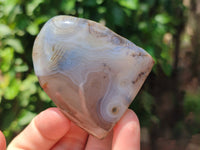 Polished On One Side Dendritic Agate x 6 From Madagascar - Toprock Gemstones and Minerals 