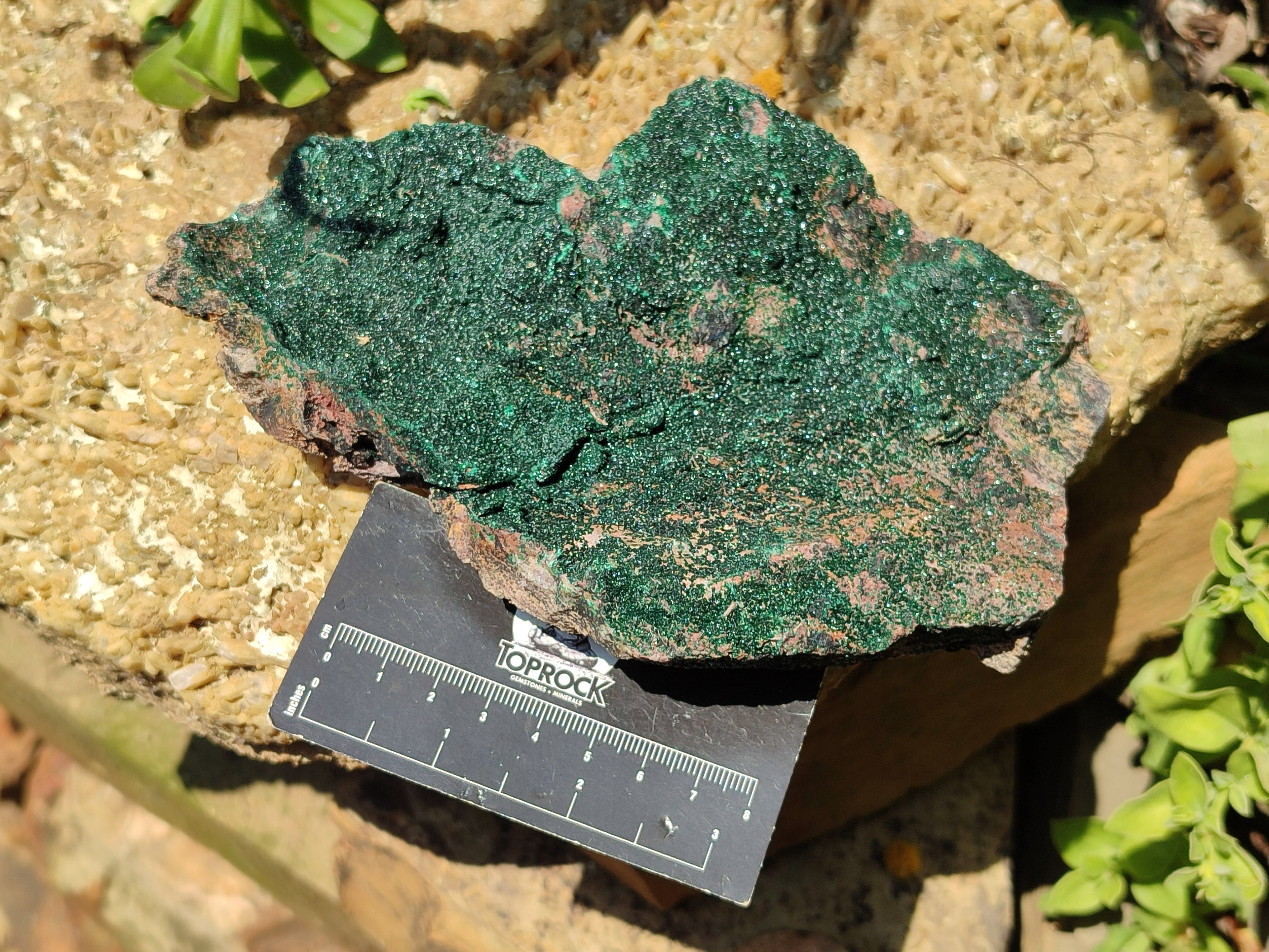 Natural Botryoidal Malachite Specimens x 2 From Tenke Fungurume, Congo - Toprock Gemstones and Minerals 
