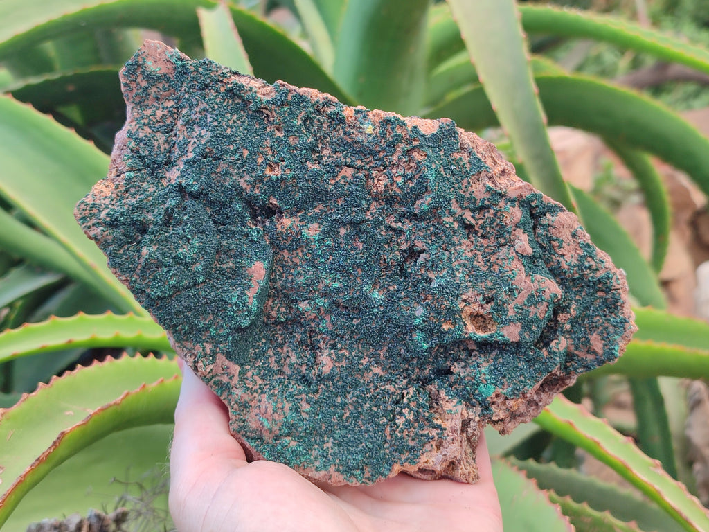 Natural Botryoidal Malachite Specimens x 2 From Tenke Fungurume, Congo - Toprock Gemstones and Minerals 