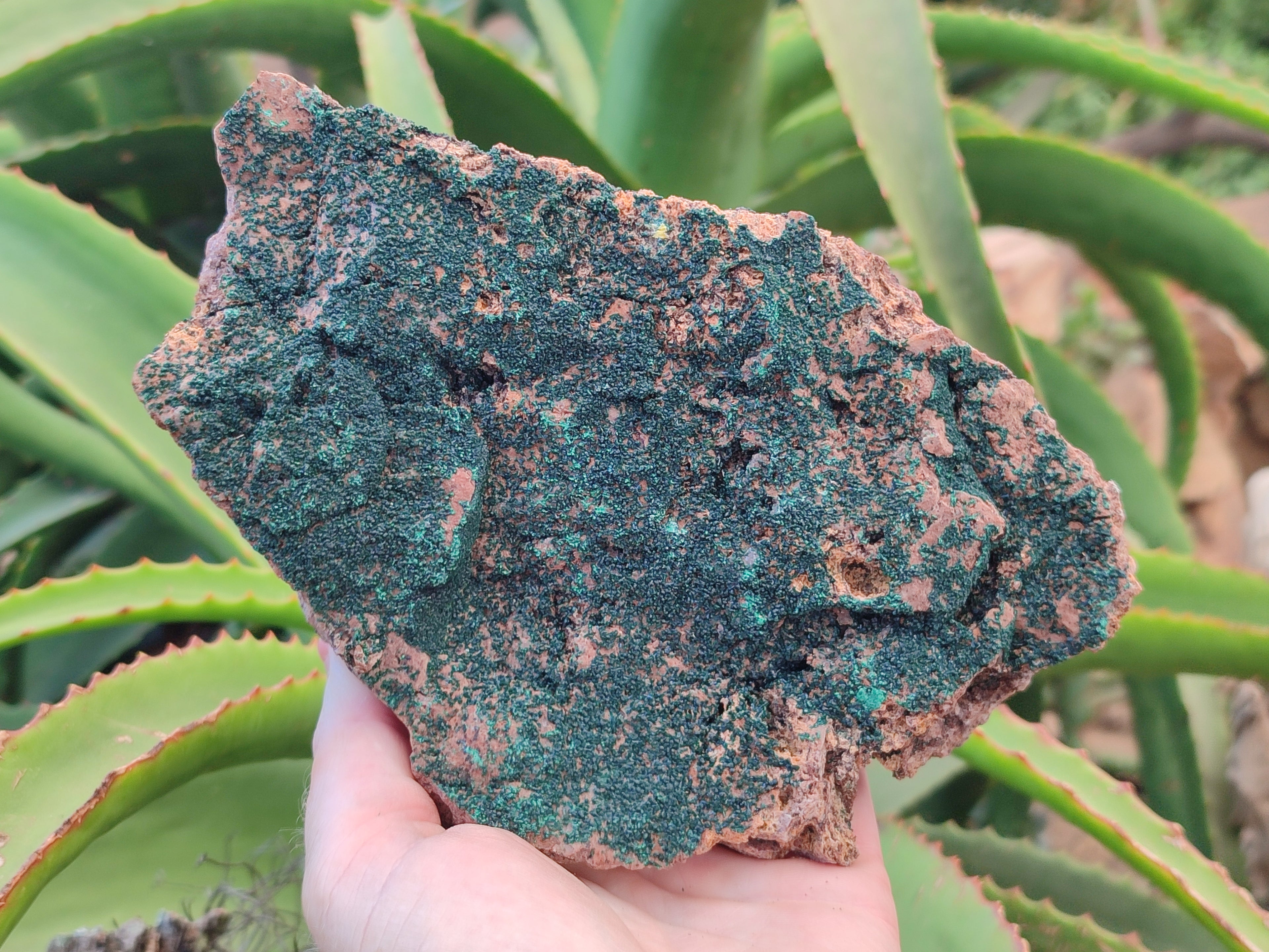 Natural Botryoidal Malachite Specimens x 2 From Tenke Fungurume, Congo - Toprock Gemstones and Minerals 