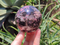 Polished Rhodonite Spheres x 2 From Ambindavato, Madagascar - Toprock Gemstones and Minerals 