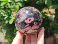 Polished Rhodonite Spheres x 2 From Ambindavato, Madagascar - Toprock Gemstones and Minerals 