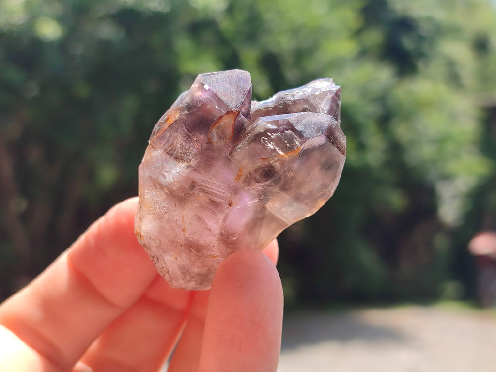 Natural Zululand Amethyst Crystals x 12 From South Africa - Toprock Gemstones and Minerals 