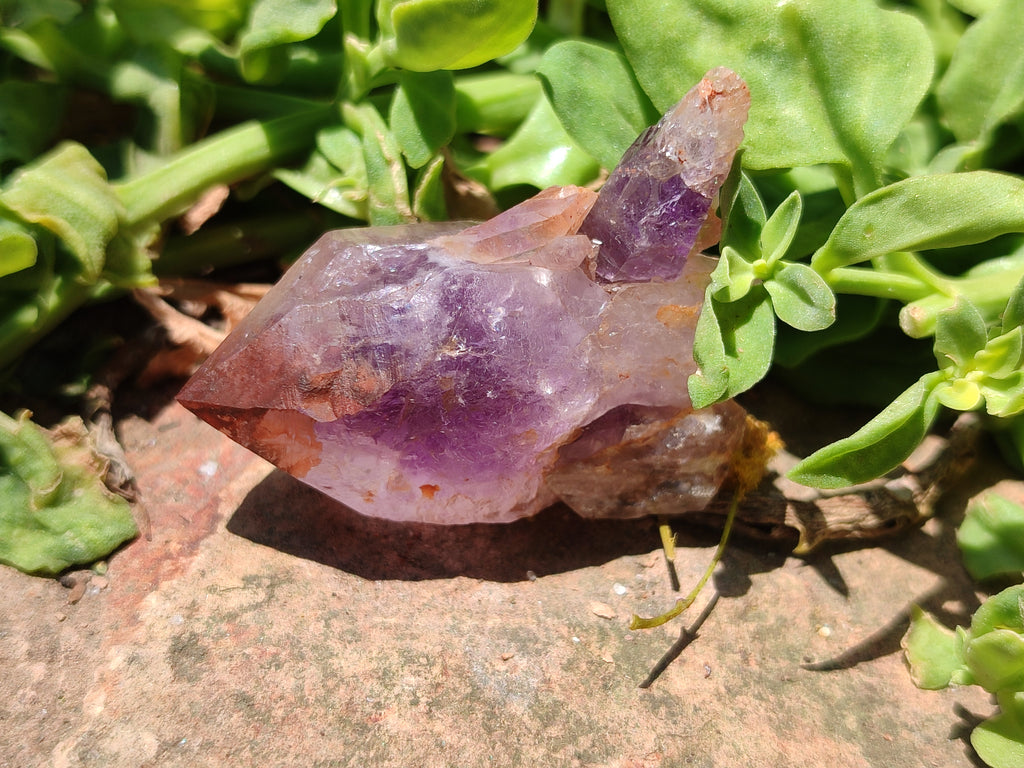 Natural Zululand Amethyst Crystals x 12 From South Africa - Toprock Gemstones and Minerals 