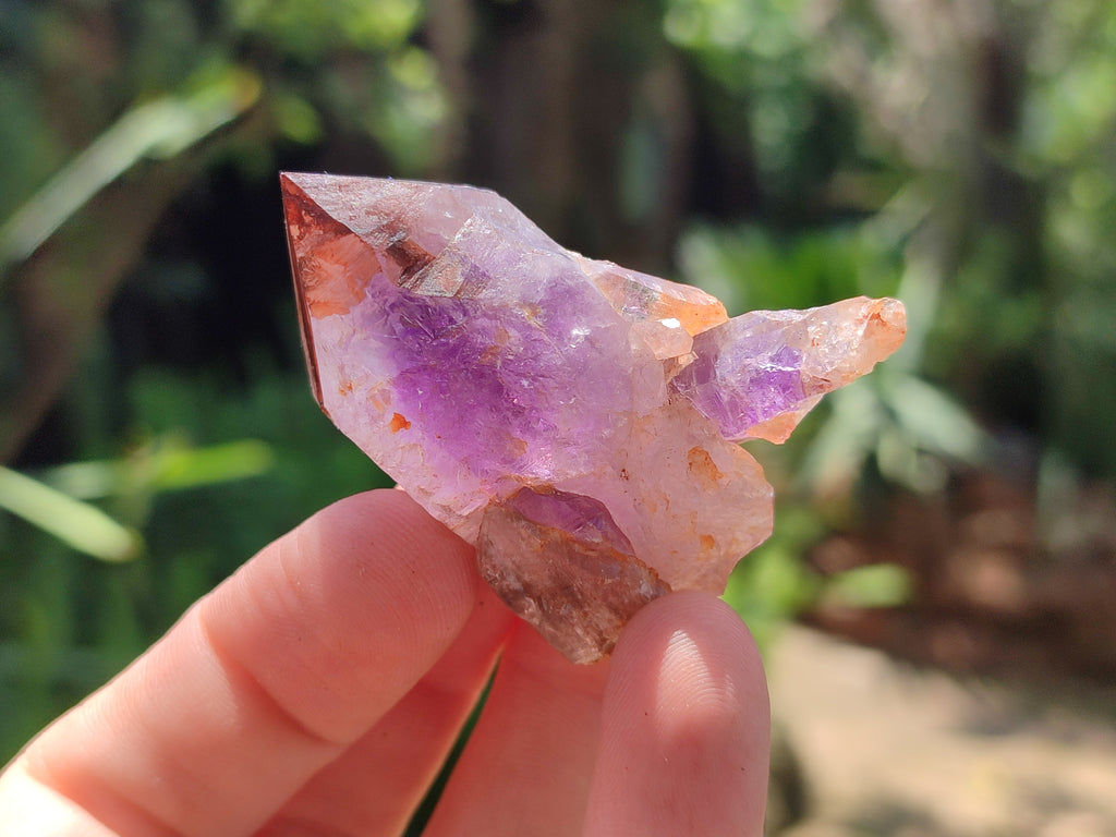 Natural Zululand Amethyst Crystals x 12 From South Africa - Toprock Gemstones and Minerals 