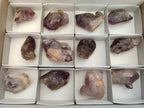 Natural Zululand Amethyst Crystals x 12 From South Africa - Toprock Gemstones and Minerals 