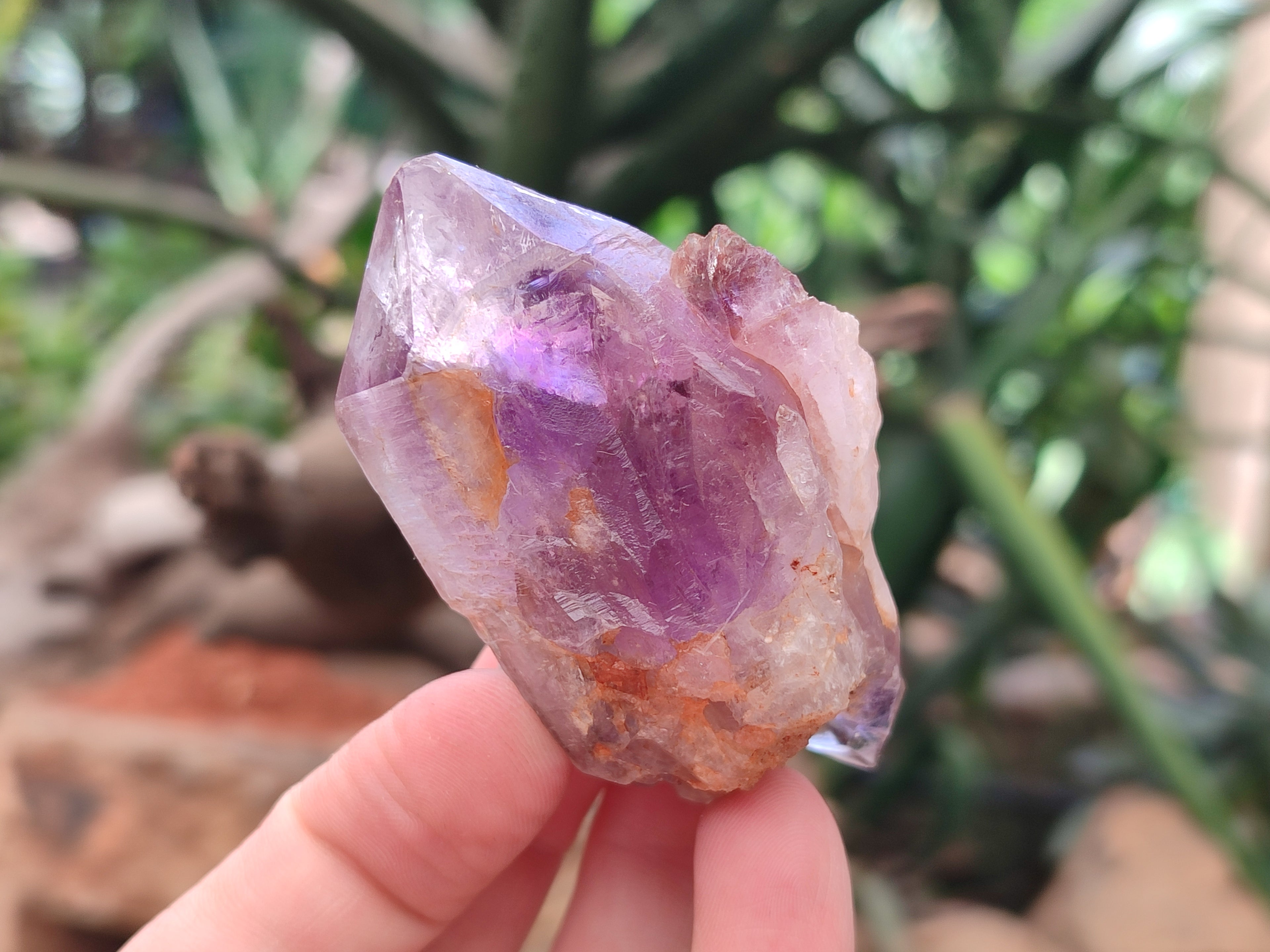 Natural Zululand Amethyst Crystals x 12 From South Africa - Toprock Gemstones and Minerals 