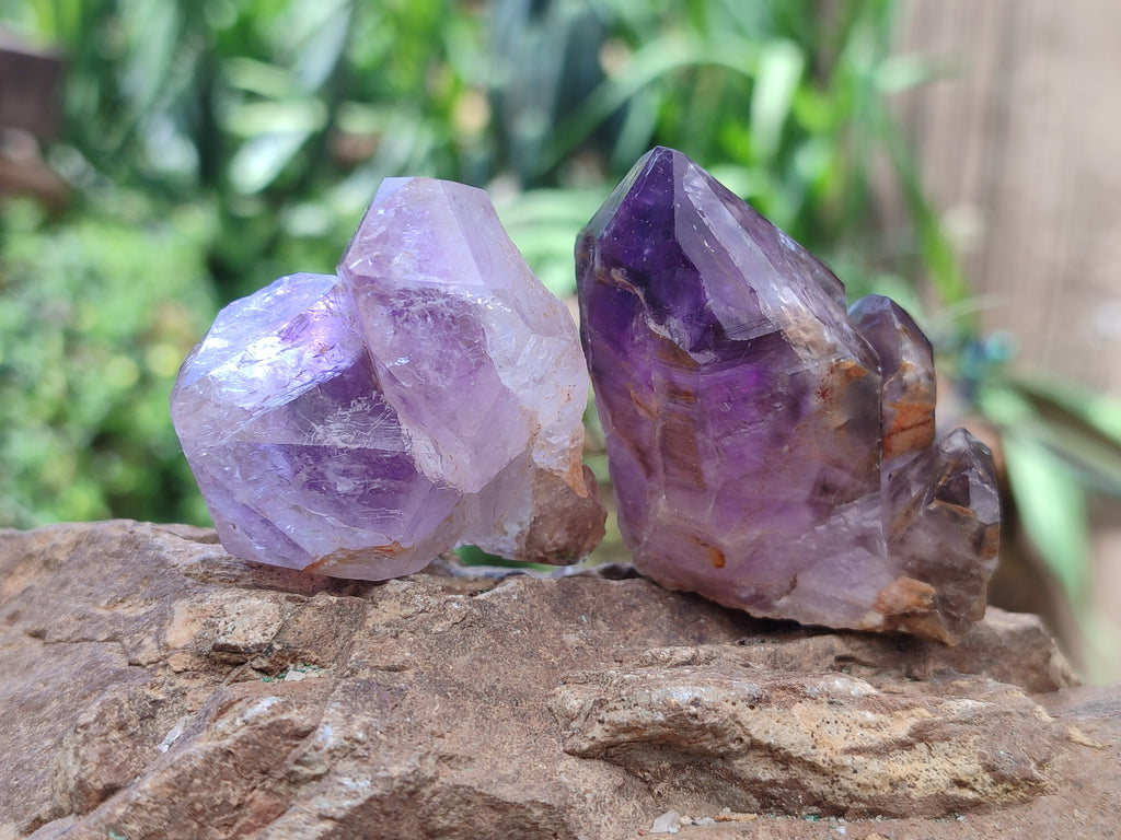 Natural Zululand Amethyst Crystals x 12 From South Africa - Toprock Gemstones and Minerals 