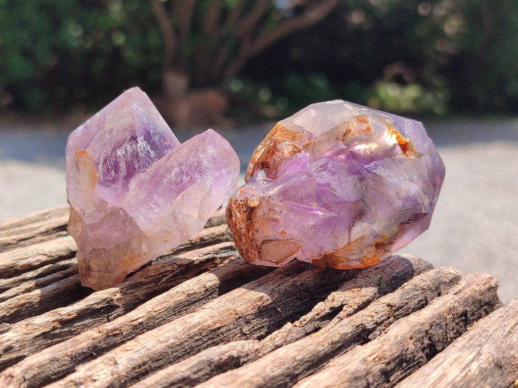 Natural Zululand Amethyst Crystals x 12 From South Africa - Toprock Gemstones and Minerals 