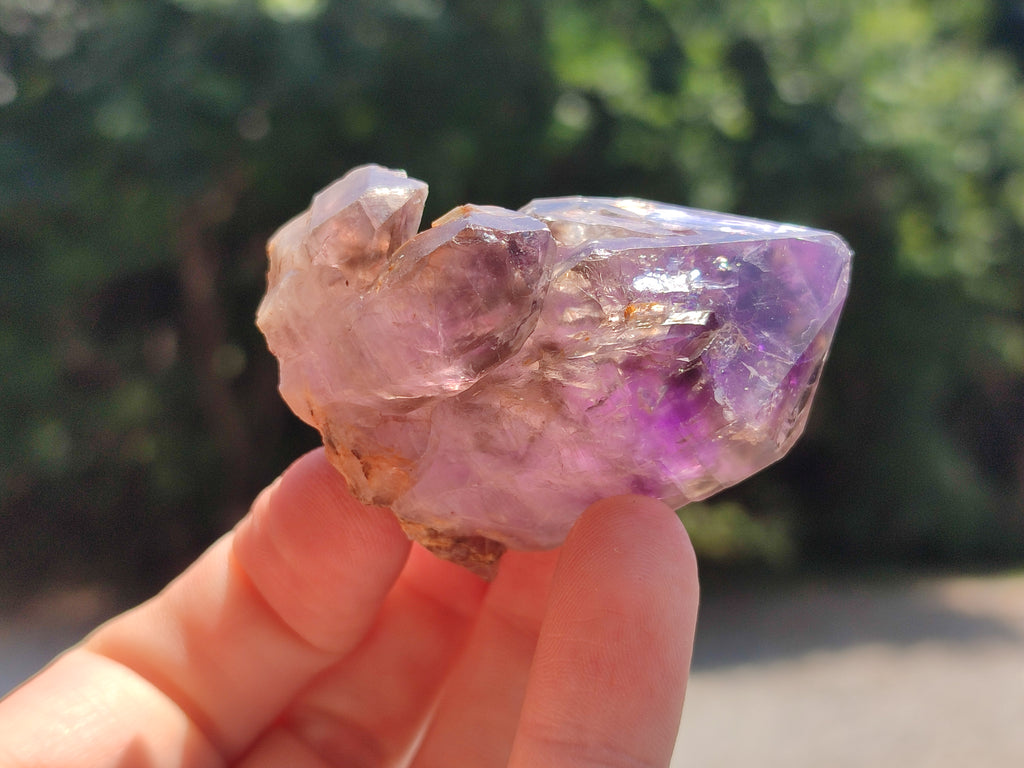 Natural Zululand Amethyst Crystals x 12 From South Africa - Toprock Gemstones and Minerals 