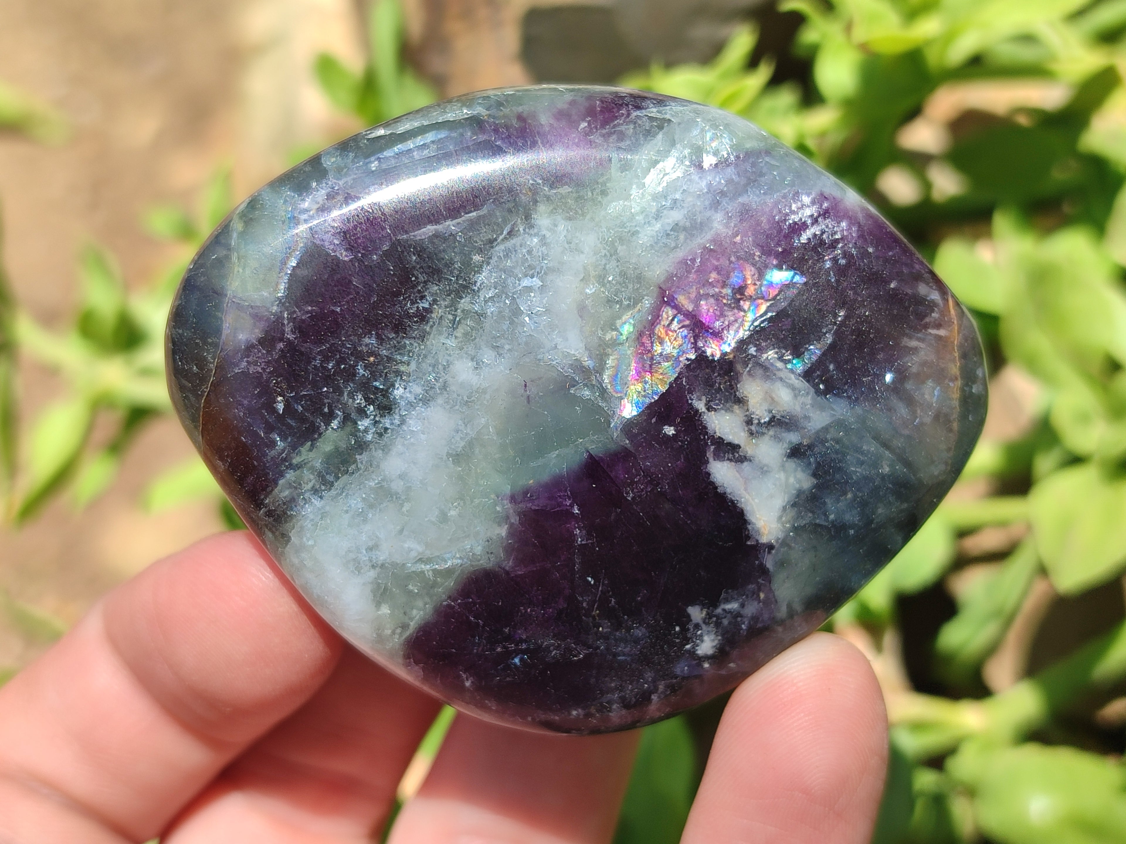 Polished Watermelon Fluorite Free Forms x 12 From Namibia - Toprock Gemstones and Minerals 