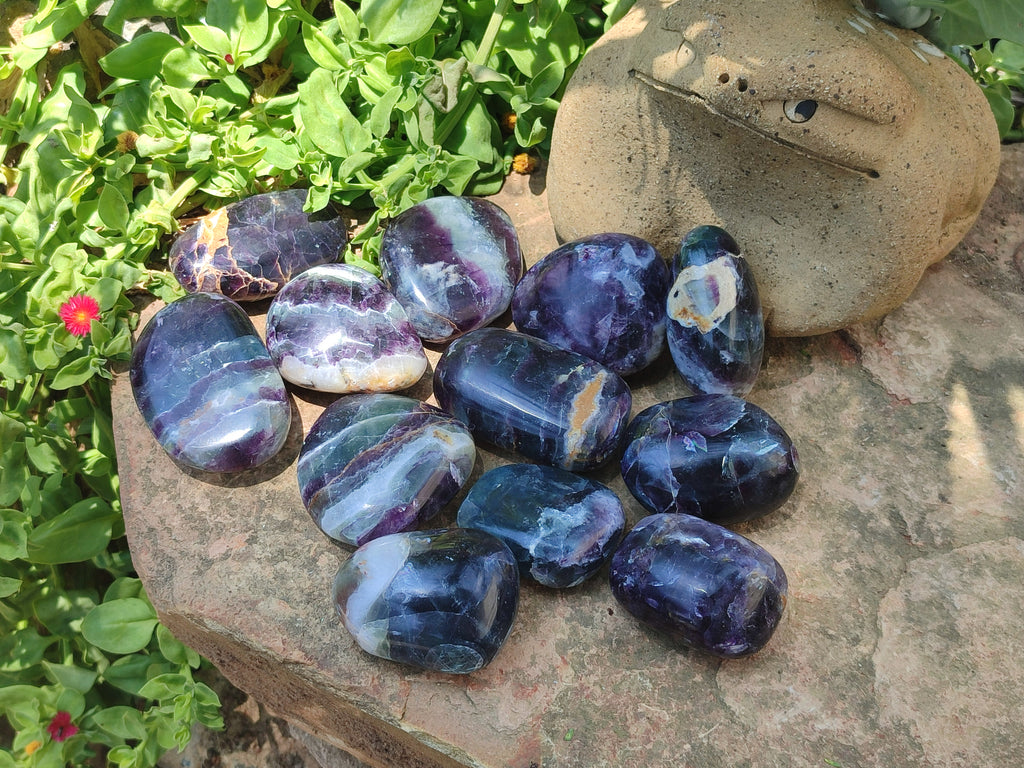 Polished Watermelon Fluorite Free Forms x 12 From Namibia - Toprock Gemstones and Minerals 