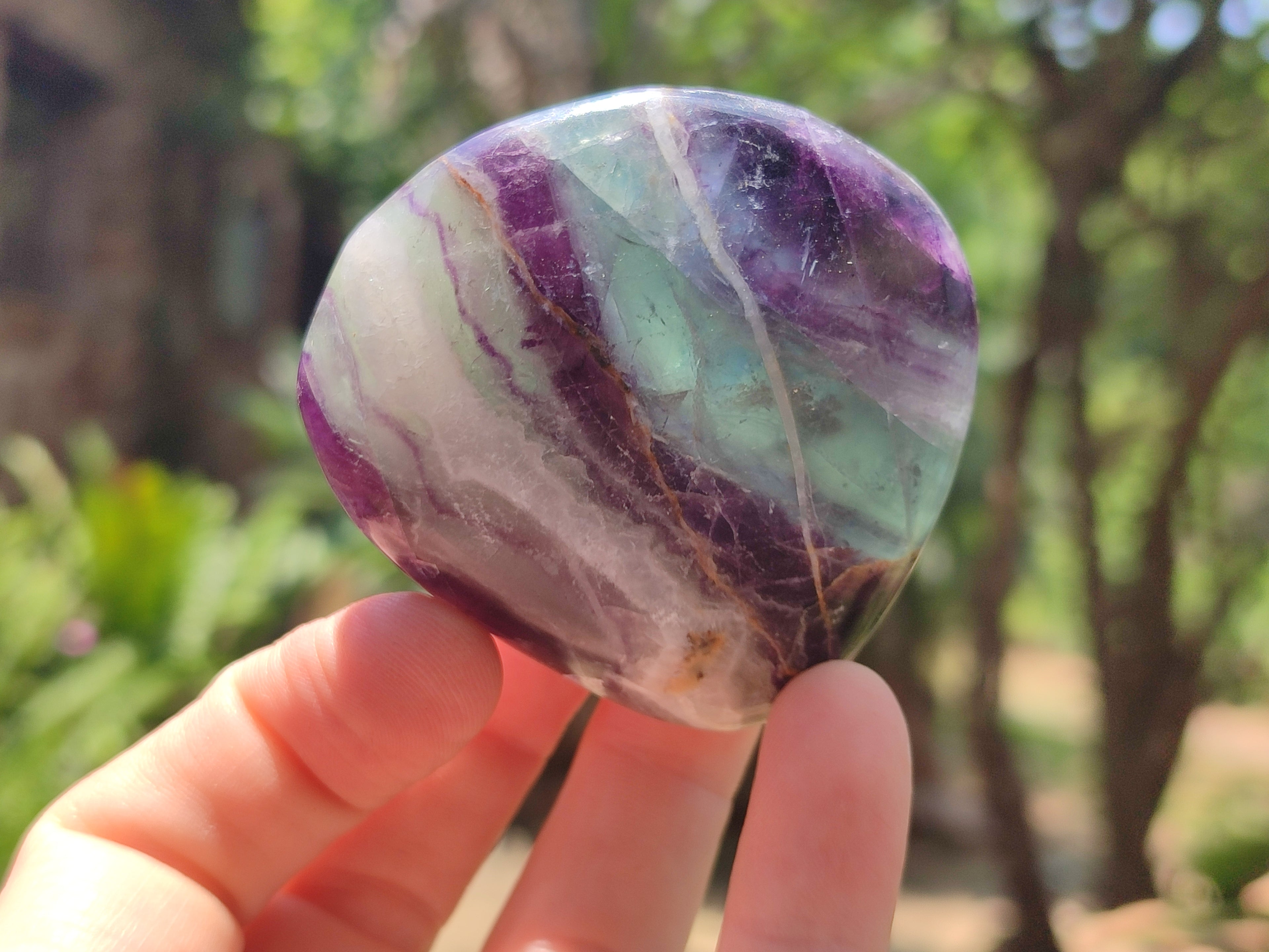 Polished Watermelon Fluorite Free Forms x 12 From Namibia - Toprock Gemstones and Minerals 