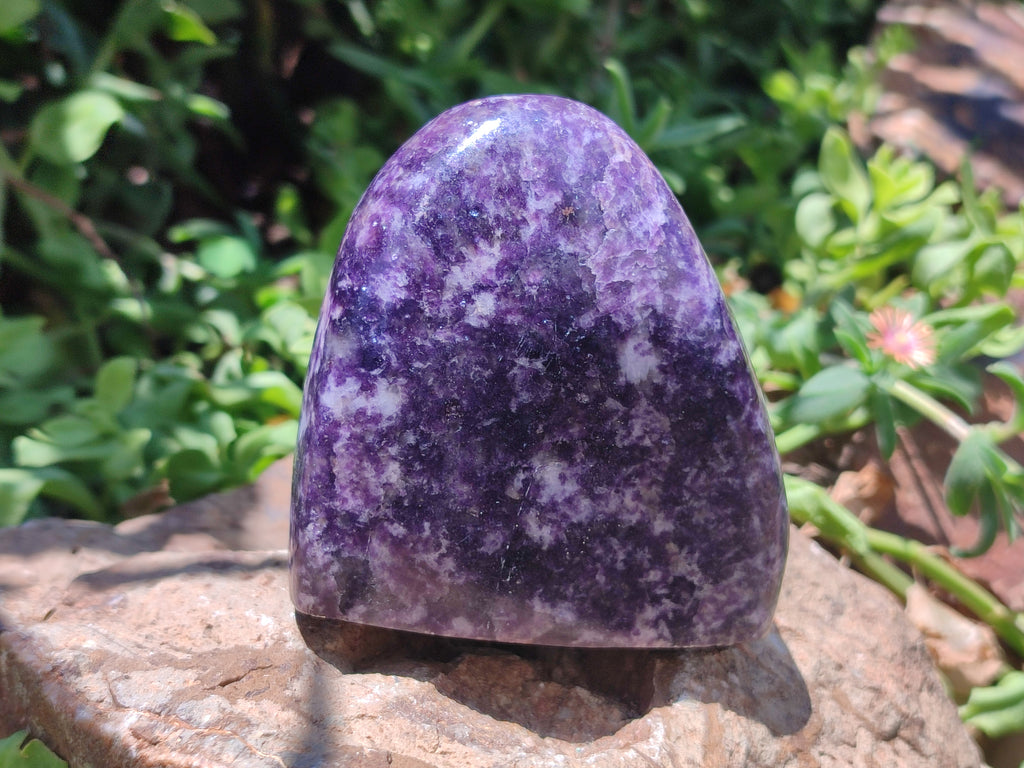 Polished Lepidolite Standing Free Forms x 4 From Zimbabwe - Toprock Gemstones and Minerals 