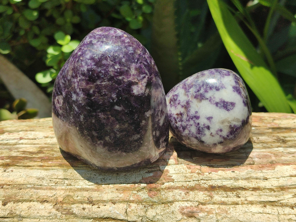 Polished Lepidolite Standing Free Forms x 4 From Zimbabwe - Toprock Gemstones and Minerals 