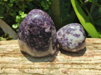 Polished Lepidolite Standing Free Forms x 4 From Zimbabwe - Toprock Gemstones and Minerals 