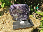 Polished Lepidolite Standing Free Forms x 4 From Zimbabwe - Toprock Gemstones and Minerals 