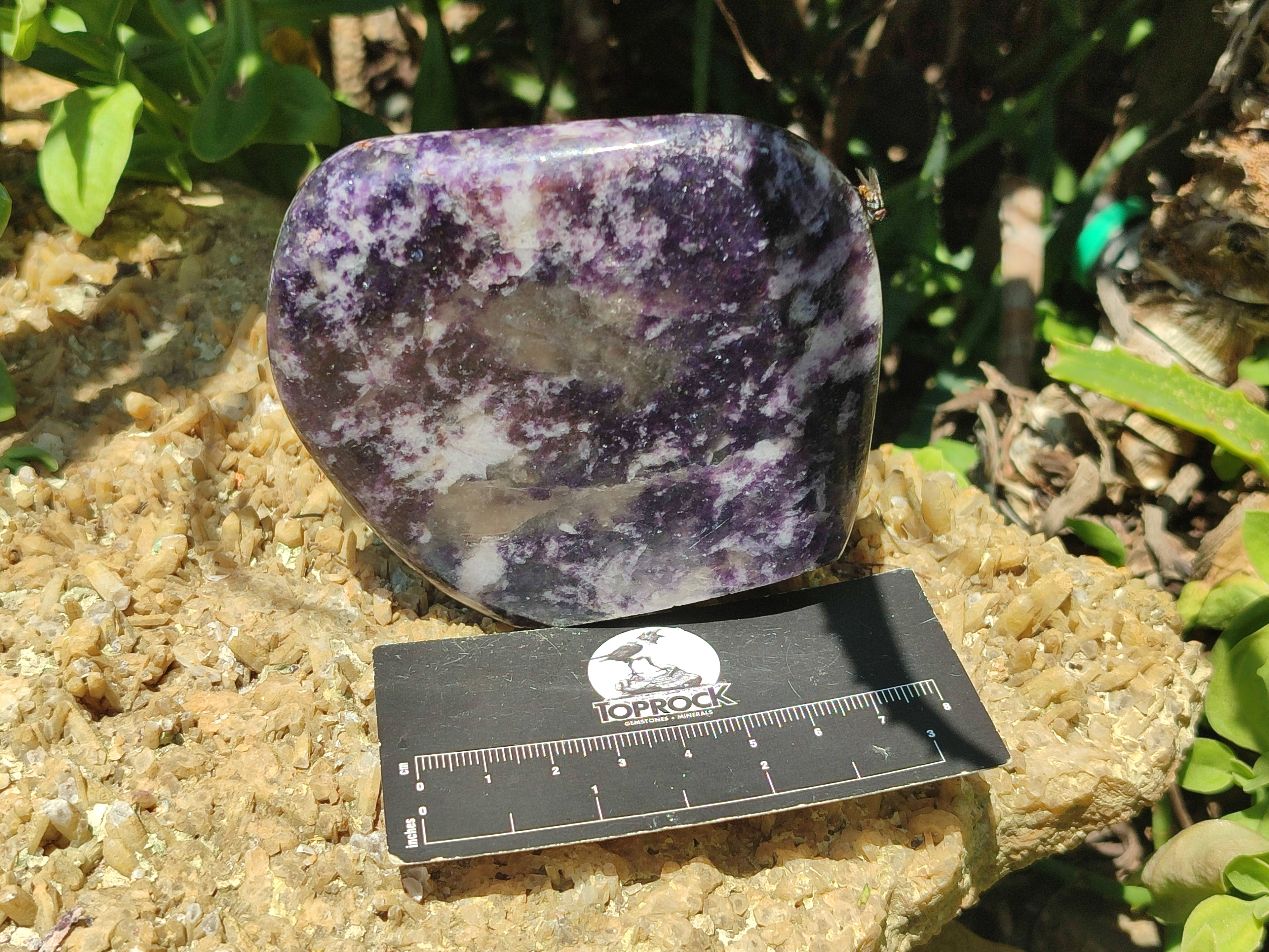 Polished Lepidolite Standing Free Forms x 4 From Zimbabwe - Toprock Gemstones and Minerals 