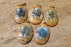 Polished Picture Stone Pendant with Hand Painted Rhinos - Sold Per Item - From Namibia - Toprock Gemstones and Minerals 