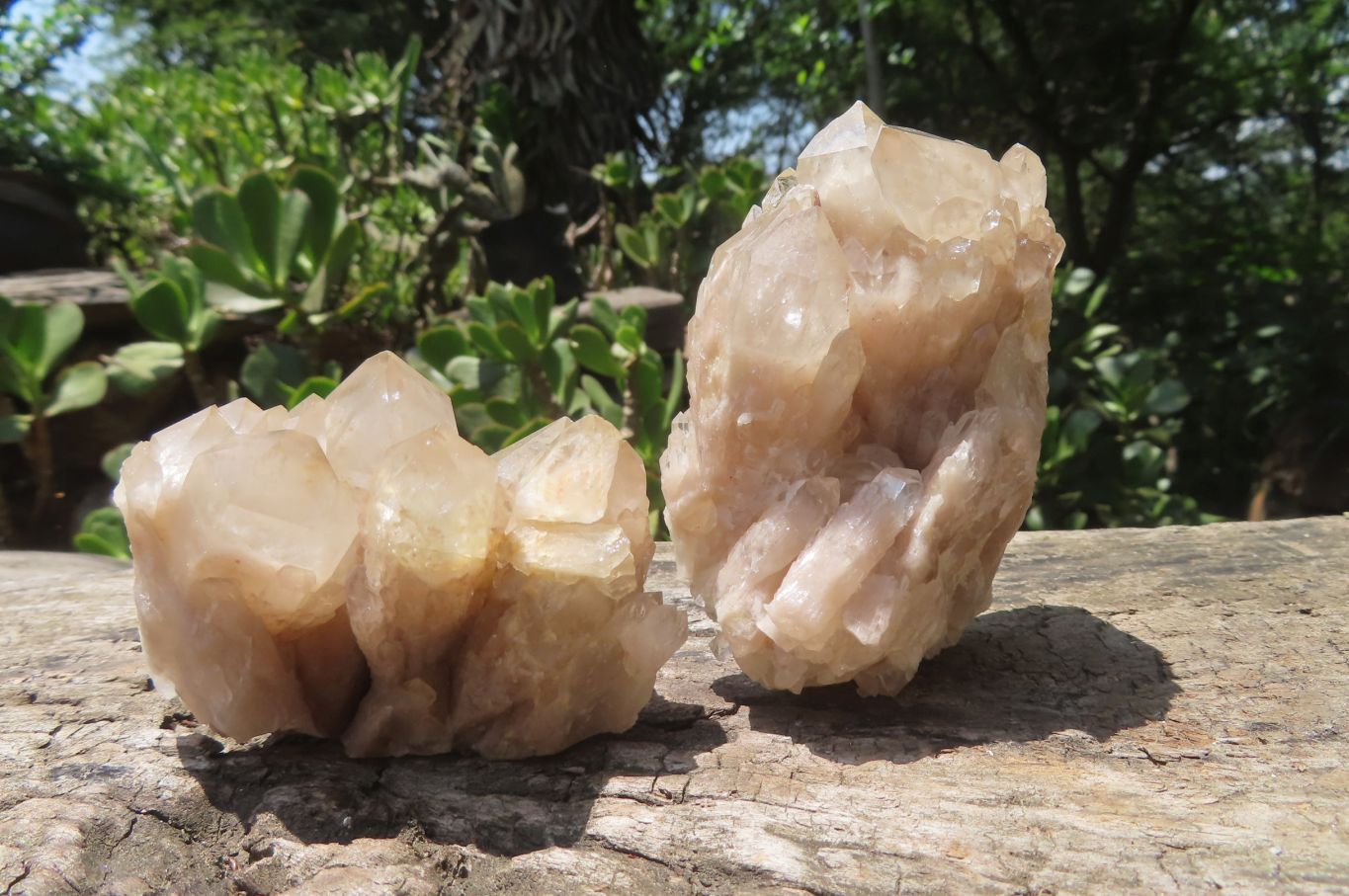 Natural Smokey Phantom Quartz Clusters x 6 From Luena, Congo - Toprock Gemstones and Minerals 