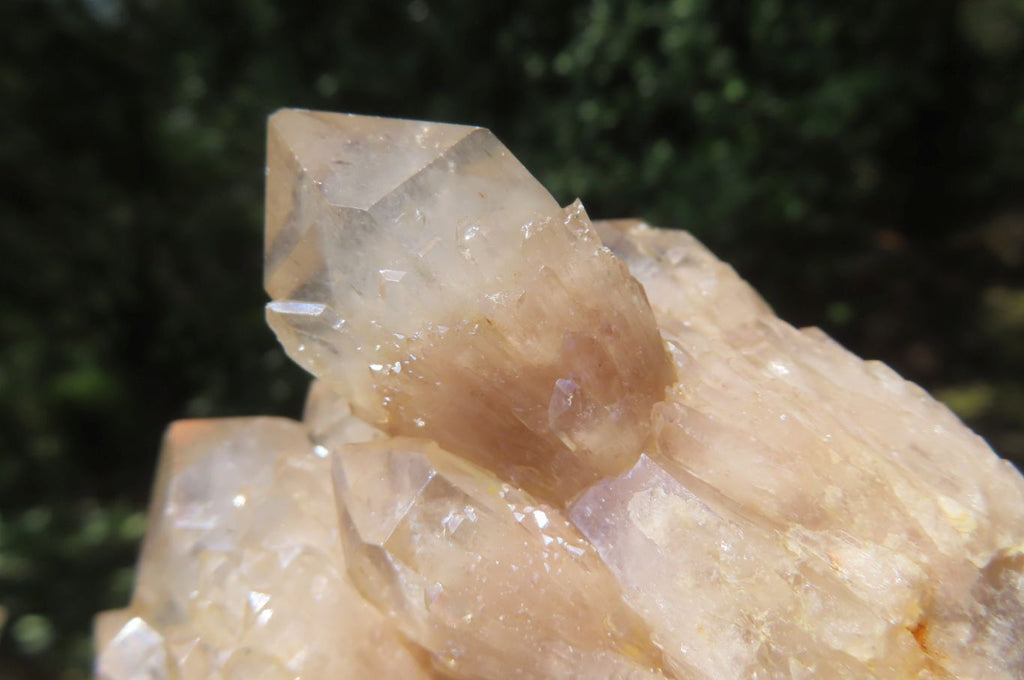 Natural Smokey Phantom Quartz Clusters x 6 From Luena, Congo - Toprock Gemstones and Minerals 