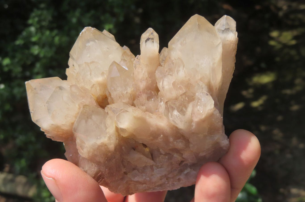 Natural Smokey Phantom Quartz Clusters x 6 From Luena, Congo - Toprock Gemstones and Minerals 