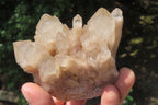 Natural Smokey Phantom Quartz Clusters x 6 From Luena, Congo - Toprock Gemstones and Minerals 