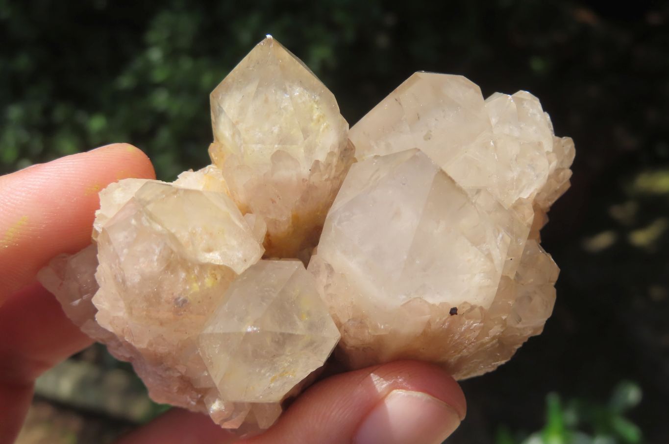 Natural Smokey Phantom Quartz Clusters x 6 From Luena, Congo - Toprock Gemstones and Minerals 