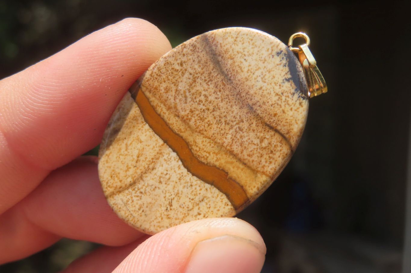 Polished Picture Stone Pendant with Hand Painted Zebras - Sold Per Item - From Namibia - Toprock Gemstones and Minerals 