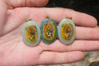 Polished Aventurine Pendant with Hand Painted Lion - Sold Per Item - From Zimbabwe - Toprock Gemstones and Minerals 