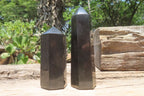 Polished Black Basalt Points x 12 From Antsirabe, Madagascar - Toprock Gemstones and Minerals 