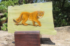 Hand Made Lioness Decoupage on Butter Jade Stone Slabs - sold per item - From South Africa - Toprock Gemstones and Minerals 