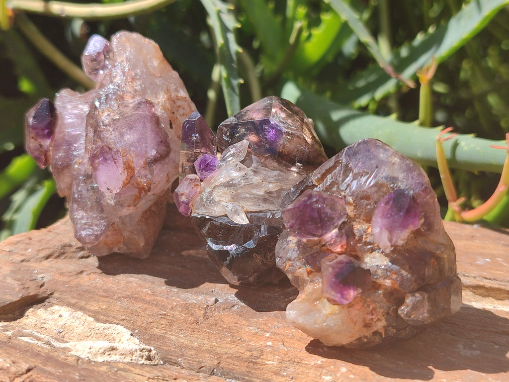 Natural Chiredzi Amethyst Conglomerate Specimens x 12 From Chiredzi, Zimbabwe - Toprock Gemstones and Minerals 