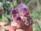 Natural Chiredzi Amethyst Conglomerate Specimens x 12 From Chiredzi, Zimbabwe - Toprock Gemstones and Minerals 