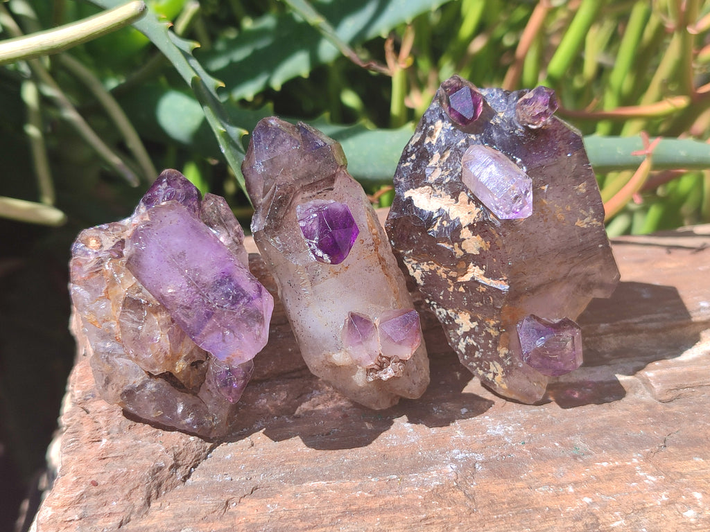 Natural Chiredzi Amethyst Conglomerate Specimens x 12 From Chiredzi, Zimbabwe - Toprock Gemstones and Minerals 