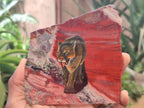 Hand Made Lioness Decoupage on Red Jasper Stone Slabs - sold per item - From South Africa - Toprock Gemstones and Minerals 