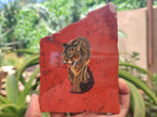 Hand Made Lioness Decoupage on Red Jasper Stone Slabs - sold per item - From South Africa - Toprock Gemstones and Minerals 