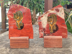 Hand Made Lioness Decoupage on Red Jasper Stone Slabs - sold per item - From South Africa - Toprock Gemstones and Minerals 