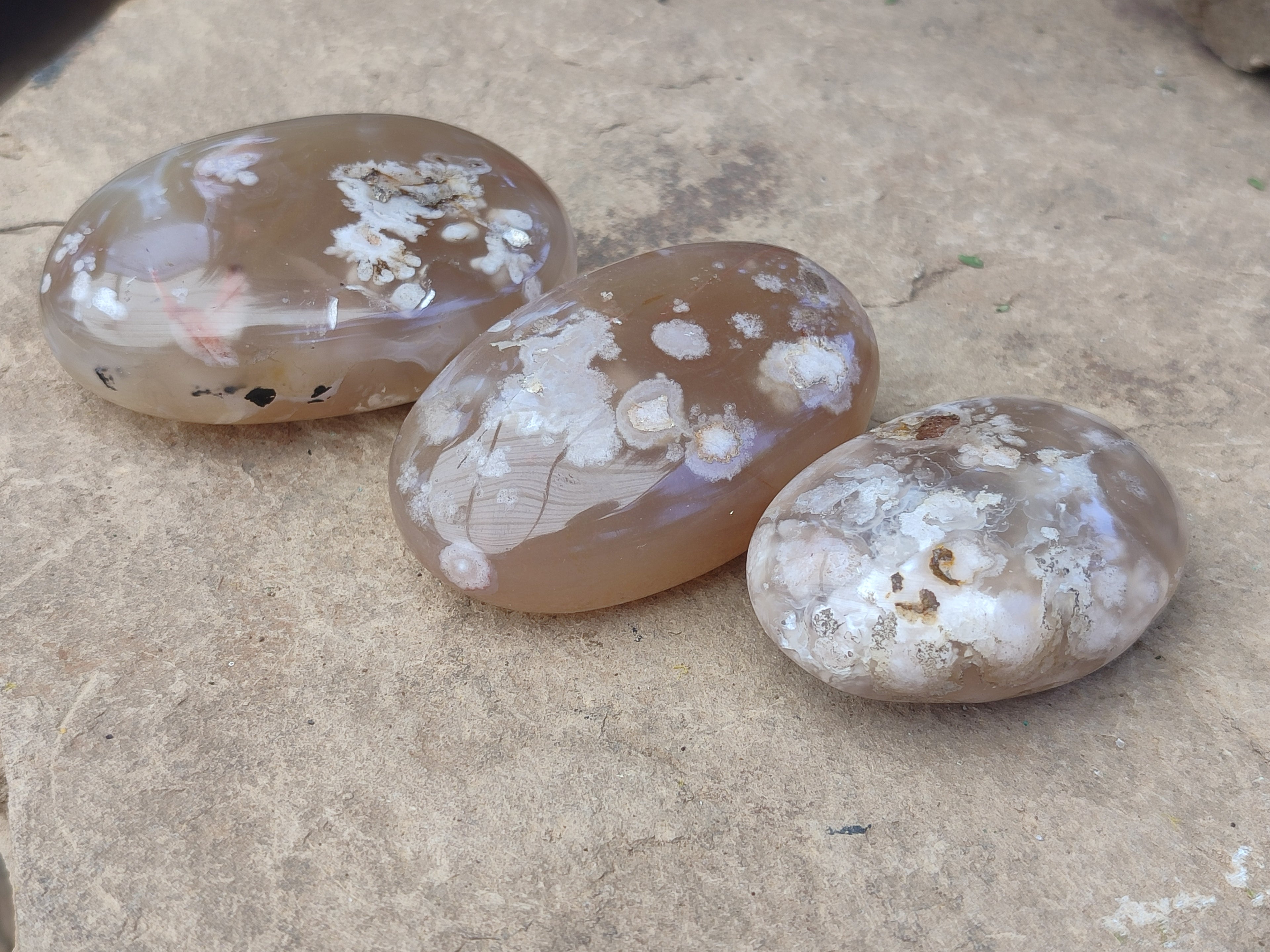 Polished Flower Agate Free Forms x 9 From Antsahalova, Madagascar - Toprock Gemstones and Minerals 