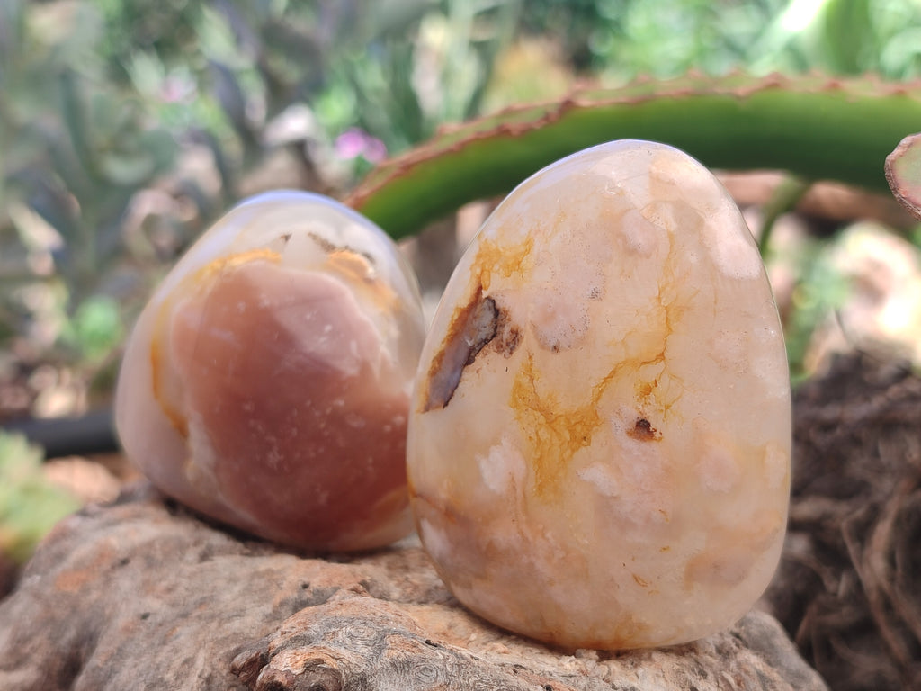 Polished Flower Agate Free Forms x 9 From Antsahalova, Madagascar - Toprock Gemstones and Minerals 